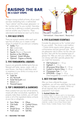 Cocktail Chameleon Companion - Homebar set up