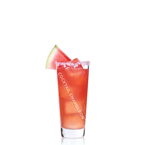 Limited Edition Cocktail Portrait: Watermelon Margarita watermarked image