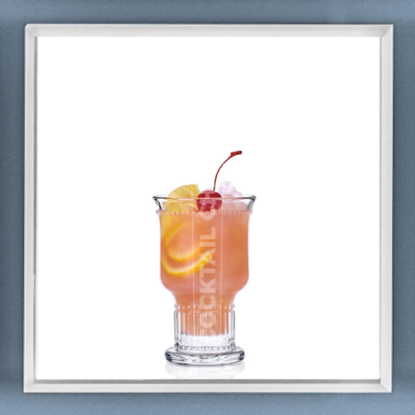 Limited Edition Cocktail Portrait: Brandy Punch framed image